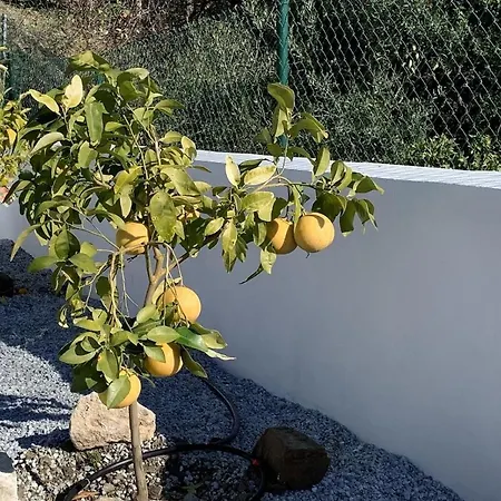 Casa Verdejo *